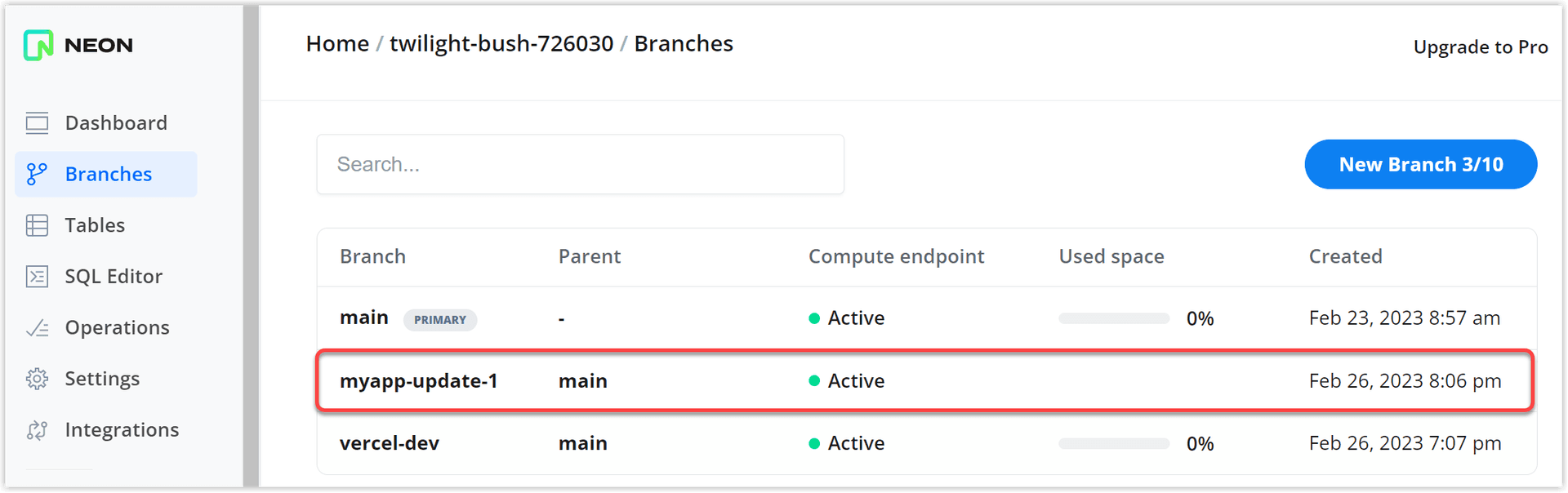 Neon preview deployment branch