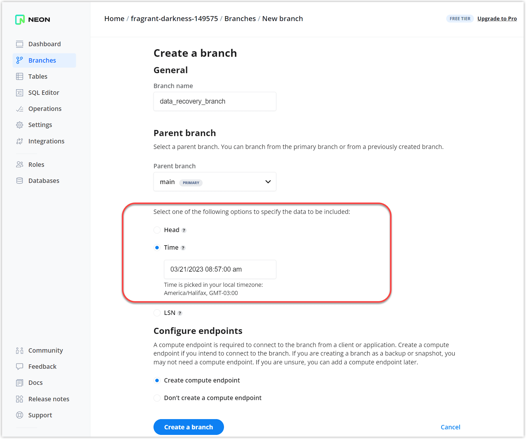 Create a point in time branch